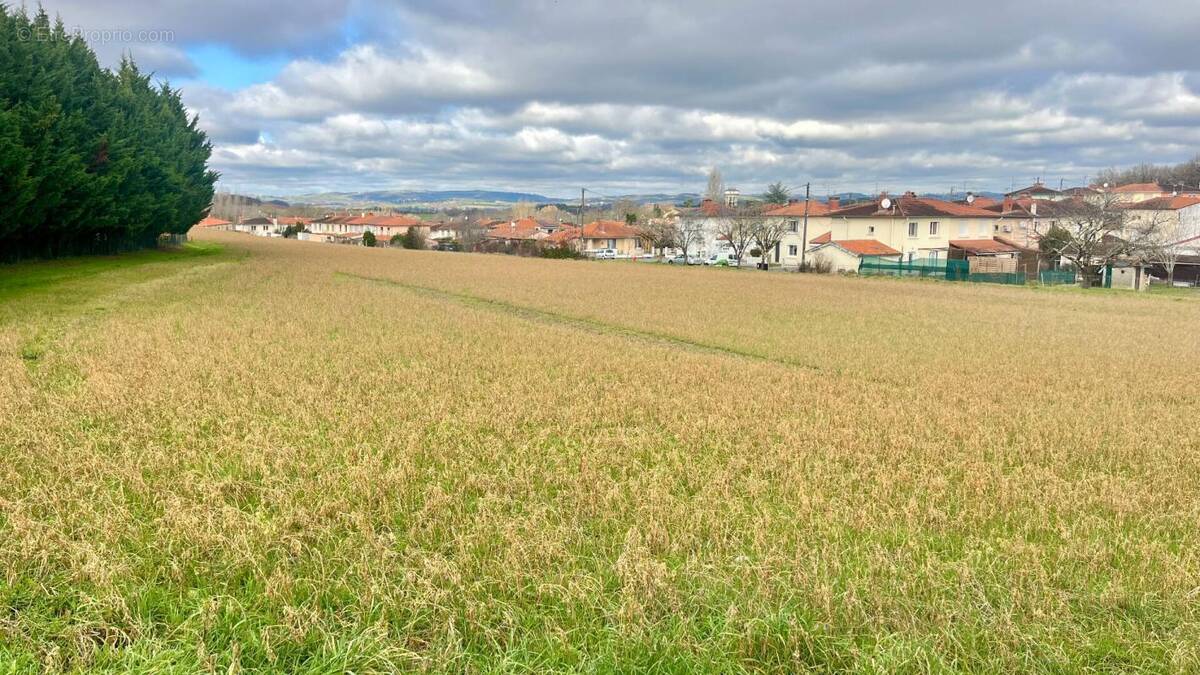 Terrain à SAINT-BENOIT-DE-CARMAUX