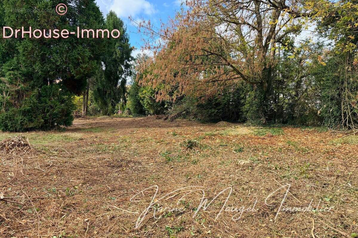 Terrain à LUMIGNY-NESLES-ORMEAUX