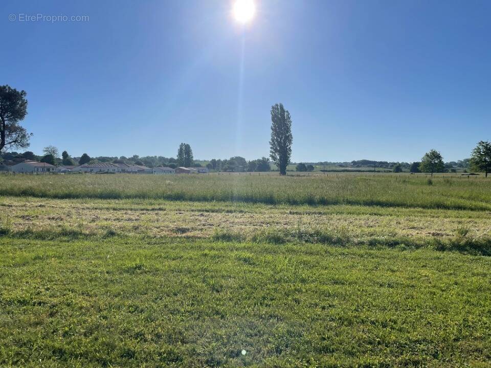 Terrain à SAINT-PAUL