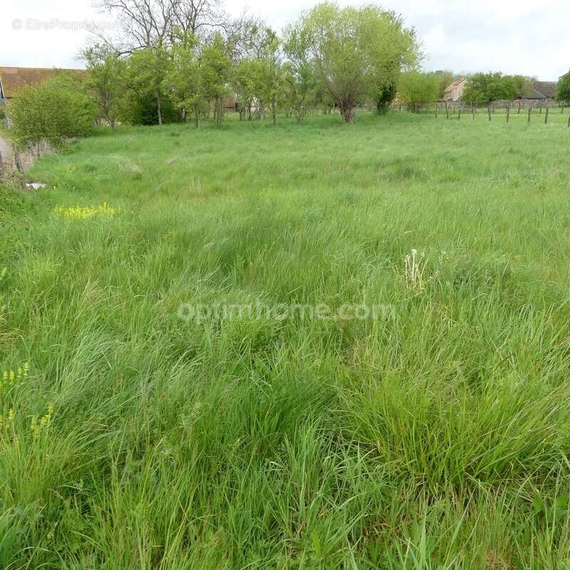 Terrain à PRECY-SOUS-THIL