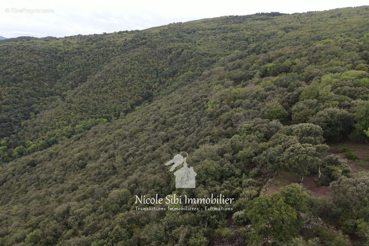 Terrain à MONTBOLO