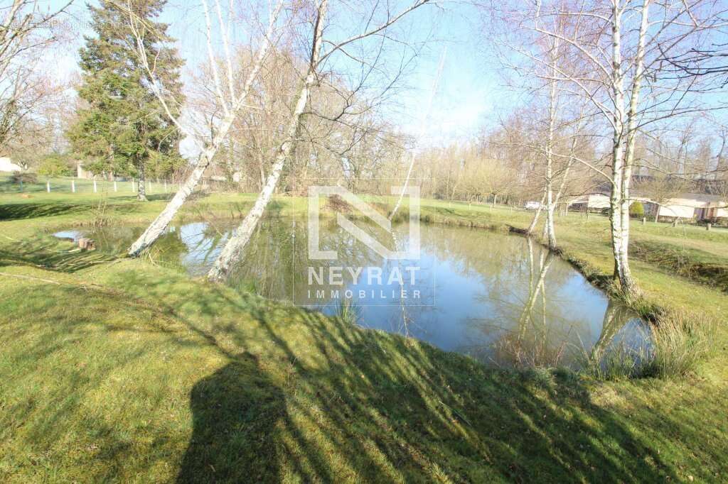 Maison à PIERRE-DE-BRESSE