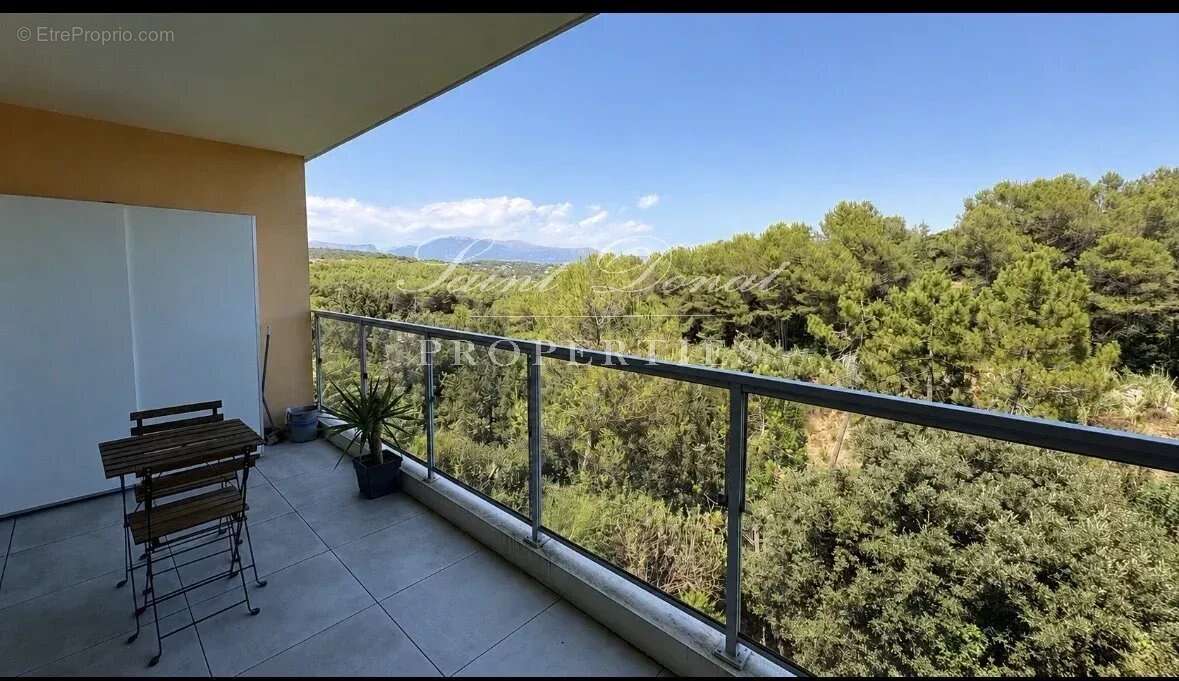 EXCLUSIVITÉ – BIOT – T2 de 41,32 m² à 300 m de la Mouratoglou Academy – Terrasse & vue dégagée - photo 2