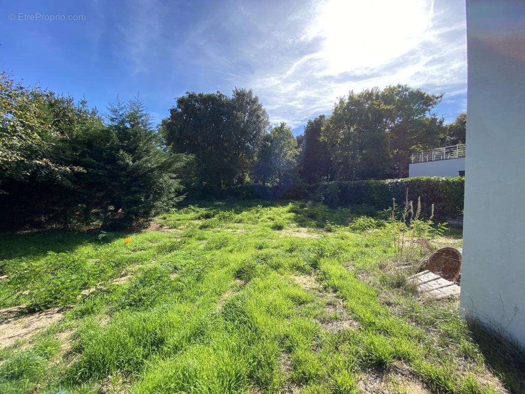 Terrain à LONGEVILLE-SUR-MER