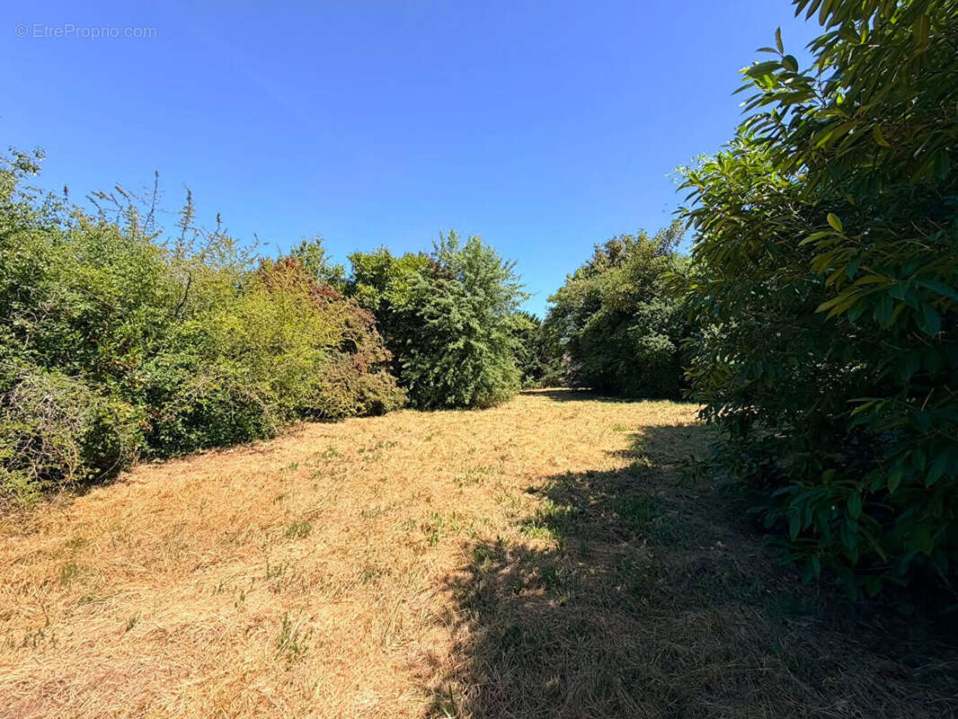 Terrain à LA COURONNE