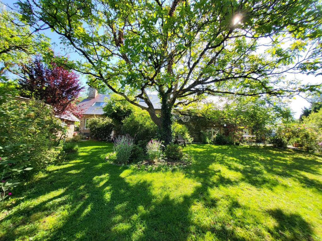 CORRÈZE. CHAMBOULIVE. Maison en pierre avec 6 chambres, piscine, 2 garages, abri voiture, entourée de jardins de 5 498 m² - photo 16