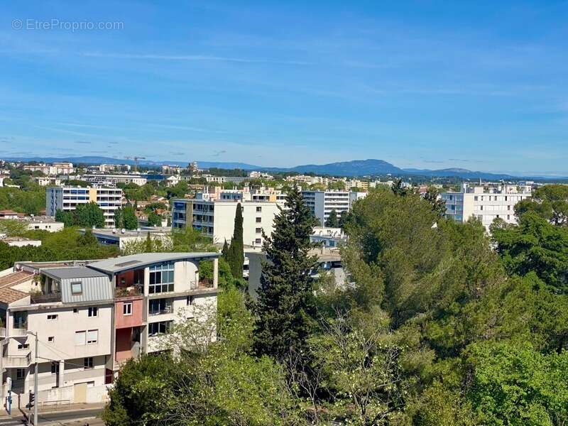 Appartement à vendre 1 pièce 27,5m2 MONTPELLIER (34) - photo 4