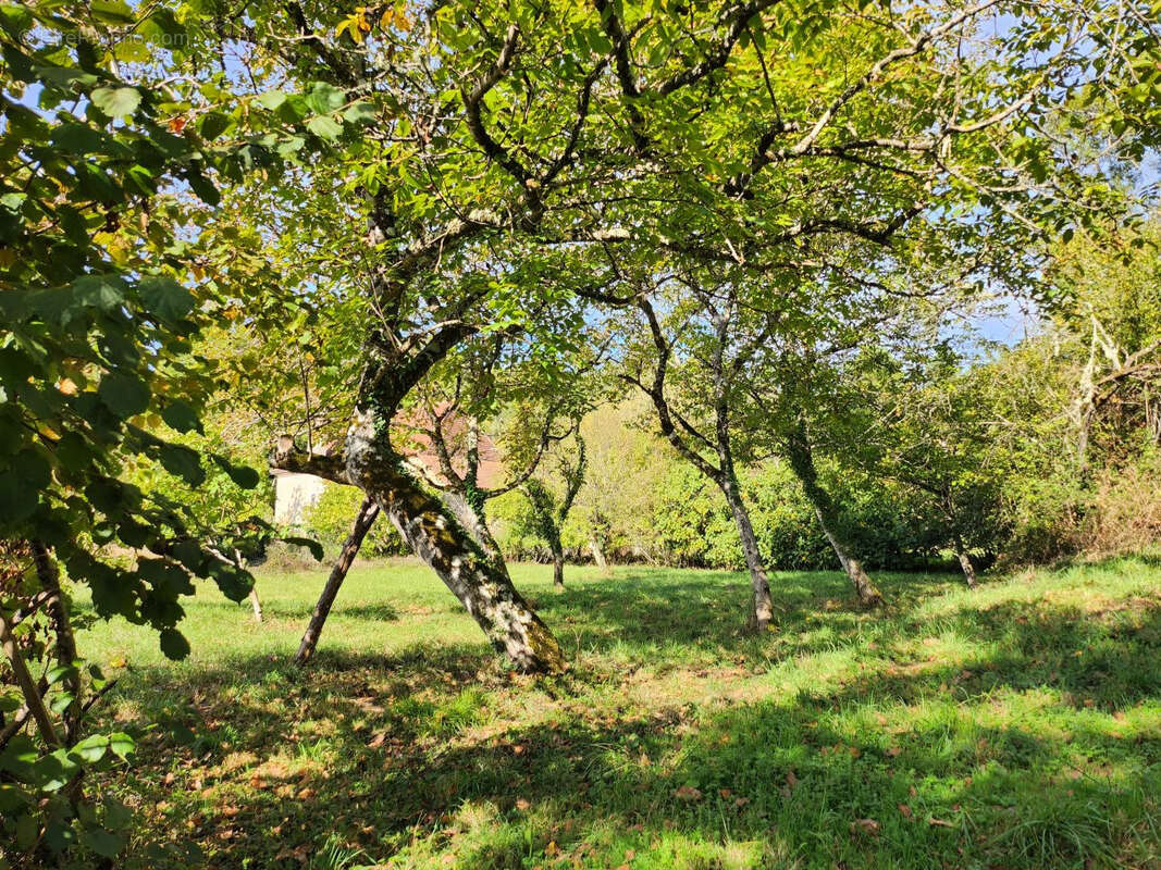 Maison à VILLAMBLARD