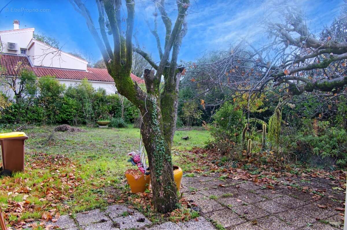 Maison à DRAGUIGNAN