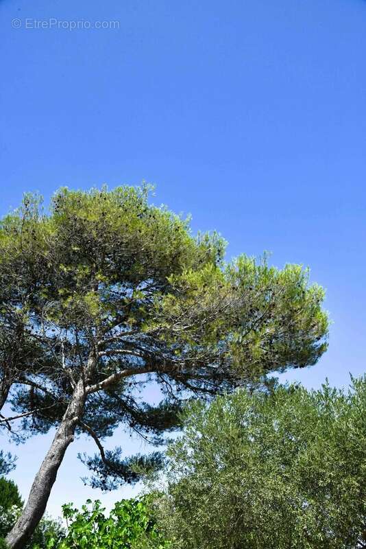 Uzès : Maison méridionale avec jardin à 1.5 km du centre historique - photo 17