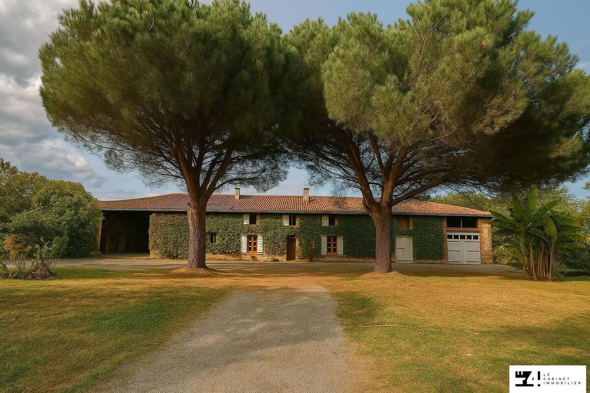 Maison à MONTESQUIEU-VOLVESTRE