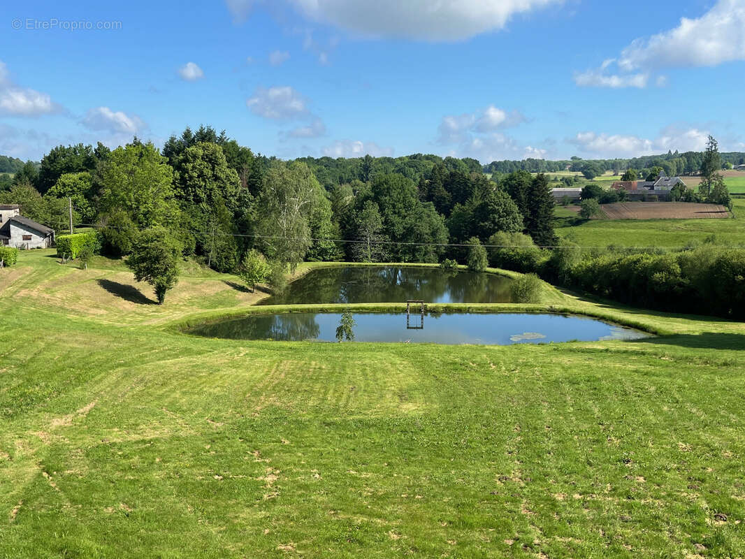 Terrain de 1,8 Hectare avec Deux Étangs près de Coussac-Bonneval (Non Constructible) - photo 5