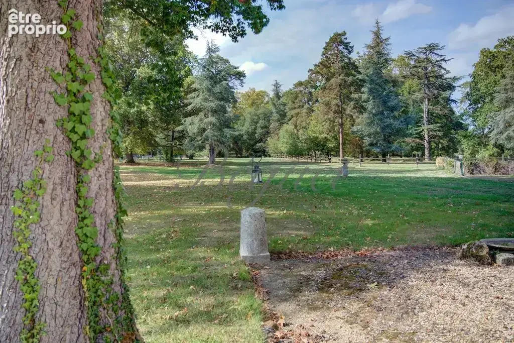 Azay-le-Rideau (37190) – Château de 1900 de 1060 m², 17 chambres, parc de 2,7 ha – près de Tours, Indre-et-Loire, Centre-Val de  - photo 21