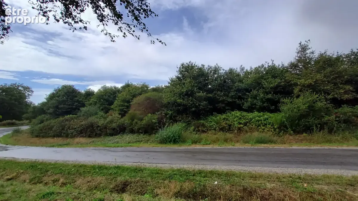 A VENDRE - Terrain de loisirs boisé 3650 m2 à POLIGNE - photo 6
