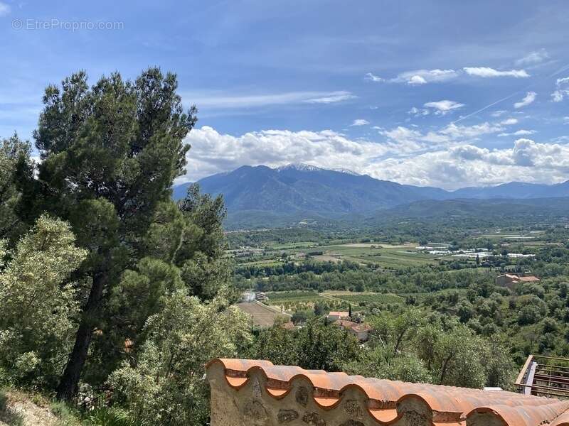Dpt Pyrénées Orientales (66), à vendre EUS, Maison 4 pièces 73 m² cour intérieure à rénover - photo 2
