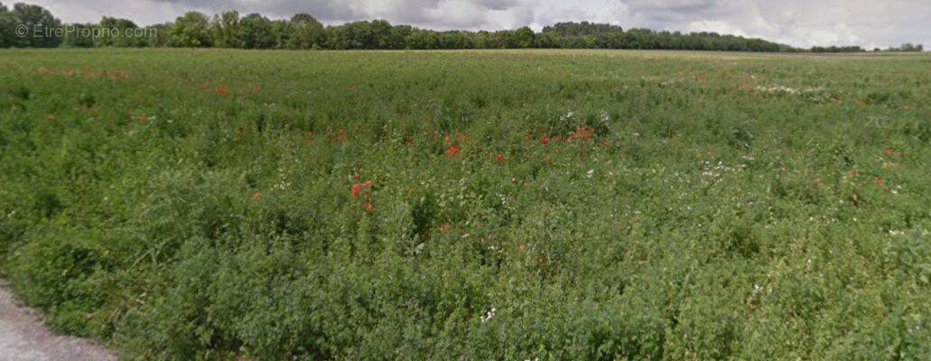 Terrain à JUNIVILLE