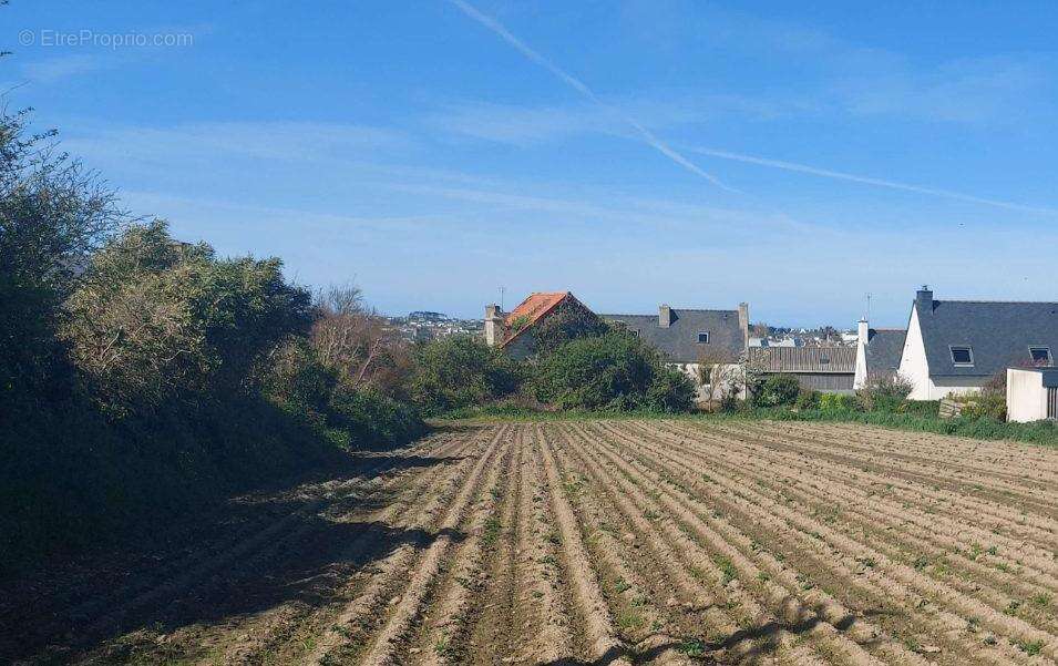 Terrain à ROSCOFF