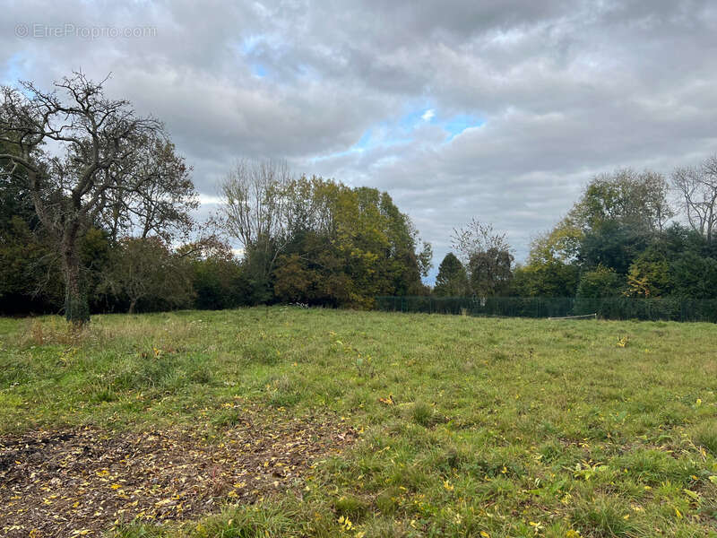 Terrain à SAINT-PIERRE-AZIF