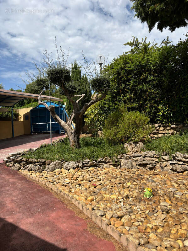 Maison à LEZIGNAN-CORBIERES