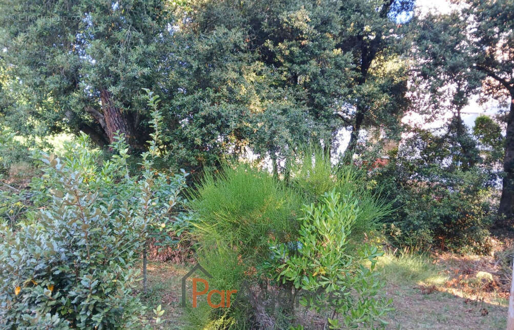 Terrain à VAUX-SUR-MER