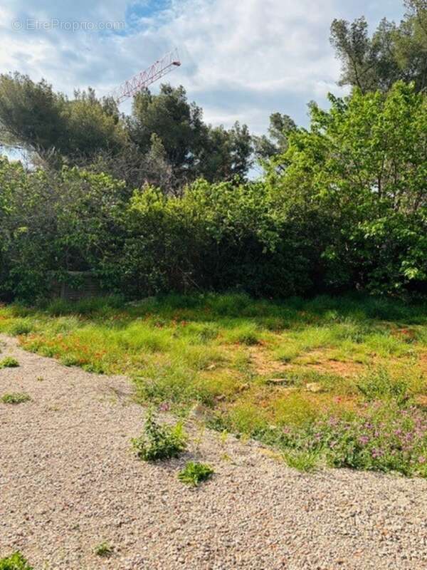 Terrain 425 m² à Bandol  - photo 2