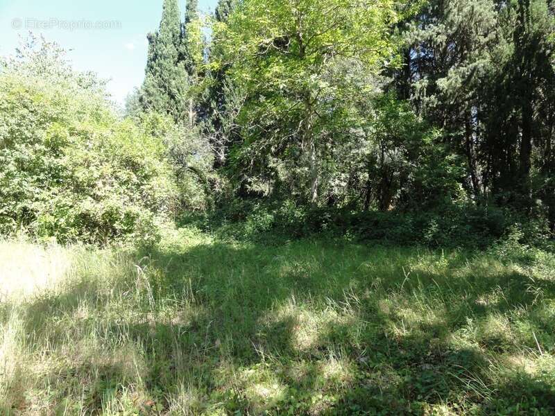 Terrain à VILLEPINTE