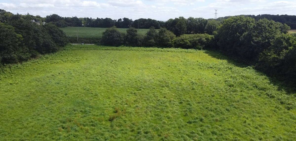 Terrain à SAINT-URBAIN