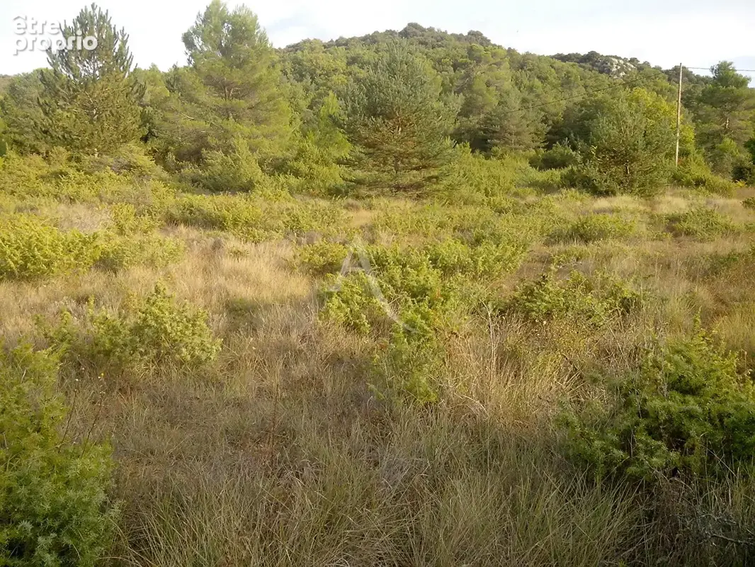 Terrain agricole 3194m2  saint julien - photo 2