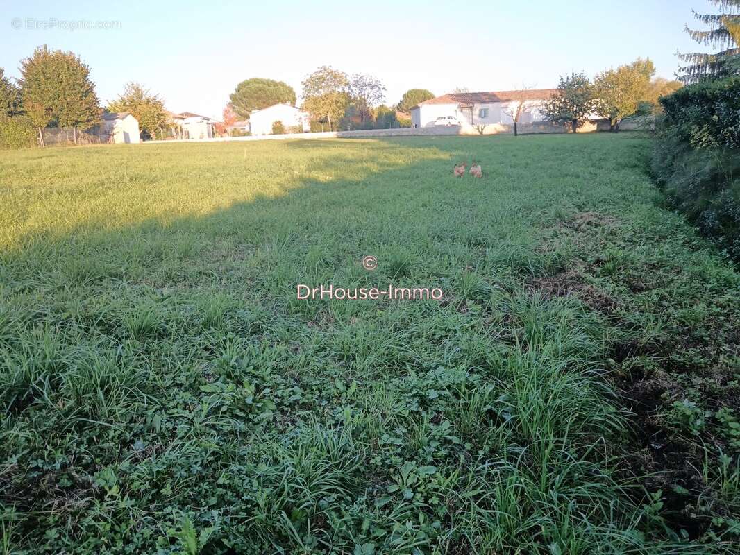 Terrain à SAINTE-LIVRADE-SUR-LOT