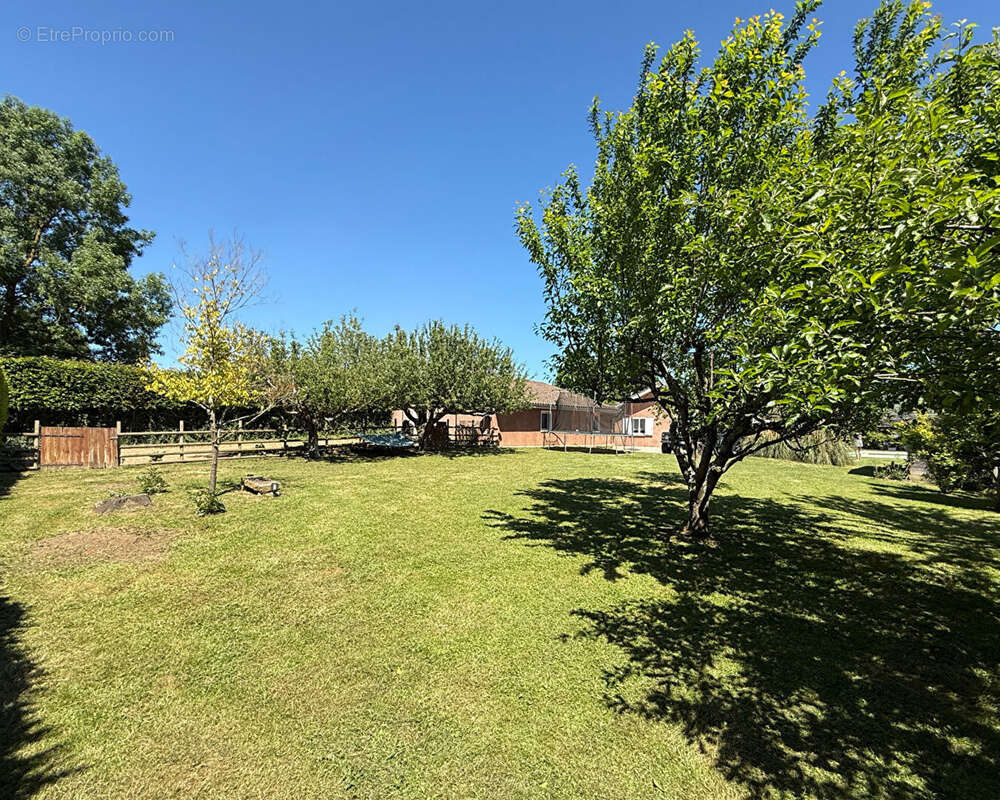 Maison à SAINT-DIDIER-SUR-CHALARONNE