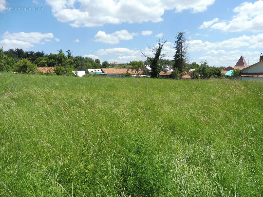Au coeur du village - photo 38