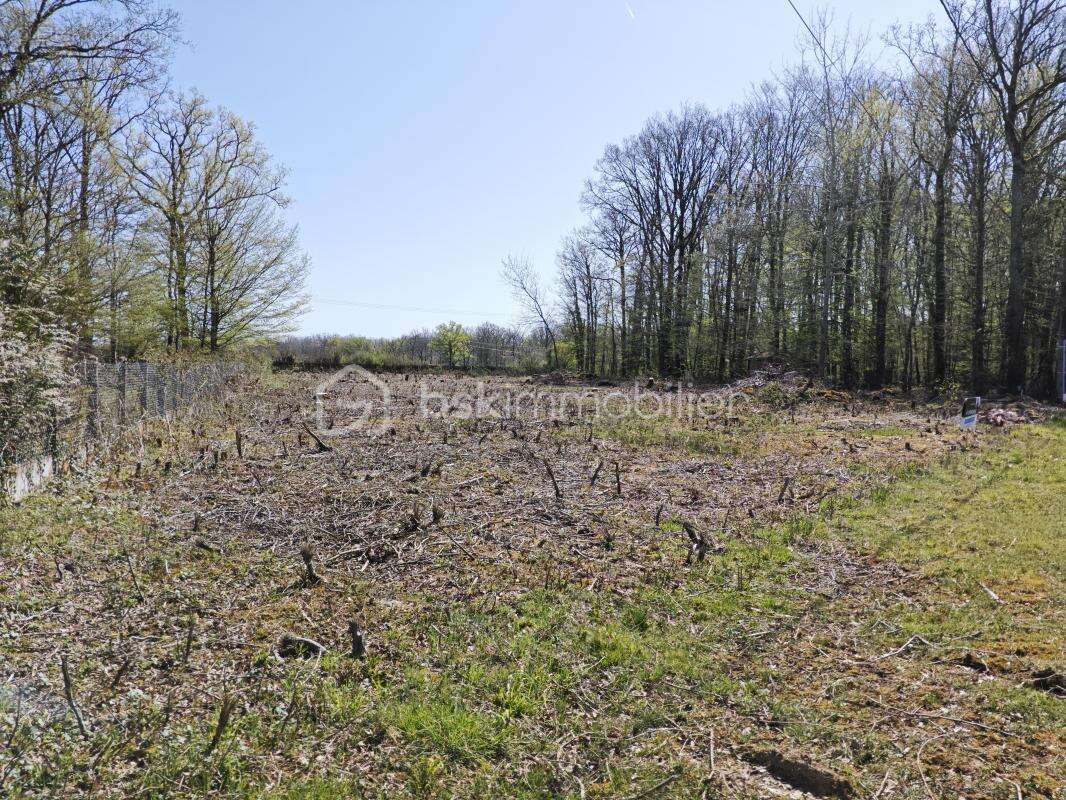 Terrain à TRIGUERES
