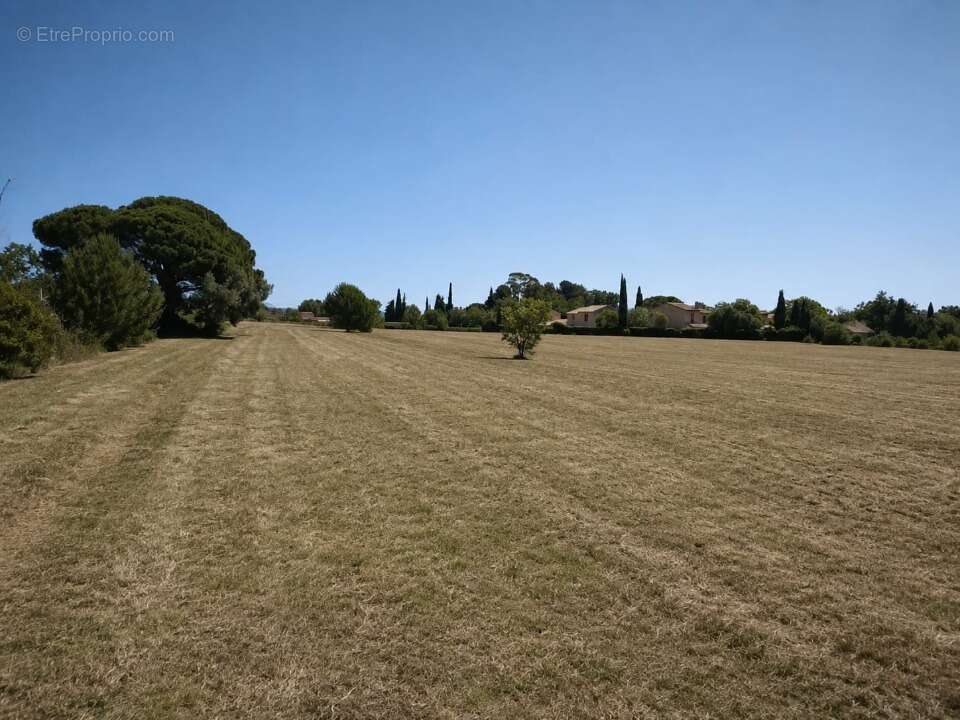 Terrain à CUERS
