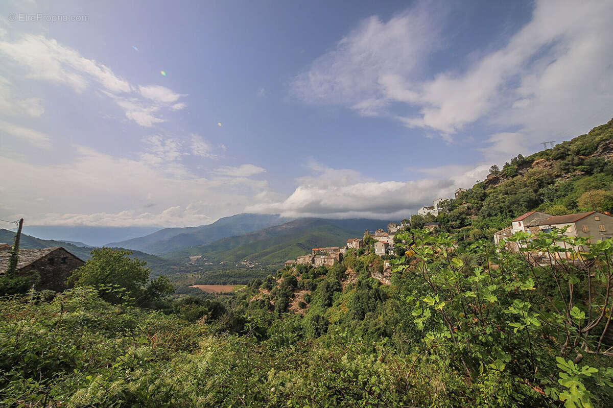 Maison à PRUNELLI-DI-CASACCONI