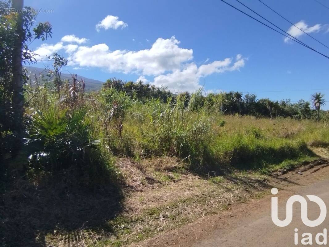 Photo 1 - Terrain à SAINT-JOSEPH