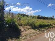 Photo 1 - Terrain à SAINT-JOSEPH