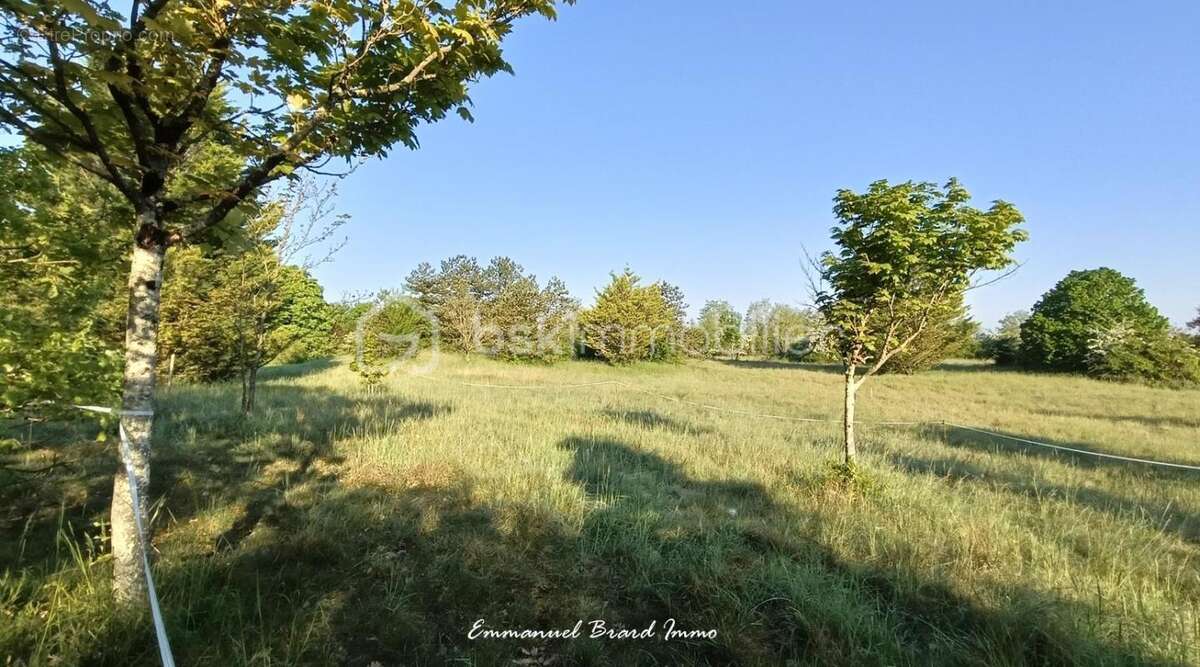 Terrain à MIGNE-AUXANCES