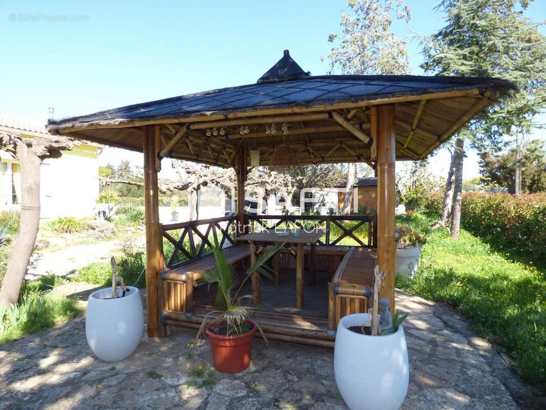 Photo 5 - Maison à SAINT-ANDRE-DE-SANGONIS