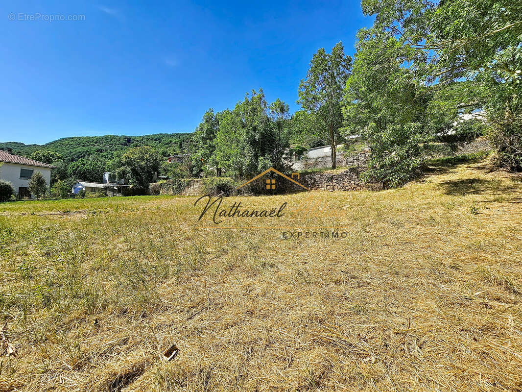 Grand terrain constructible aux Cazes - photo 3