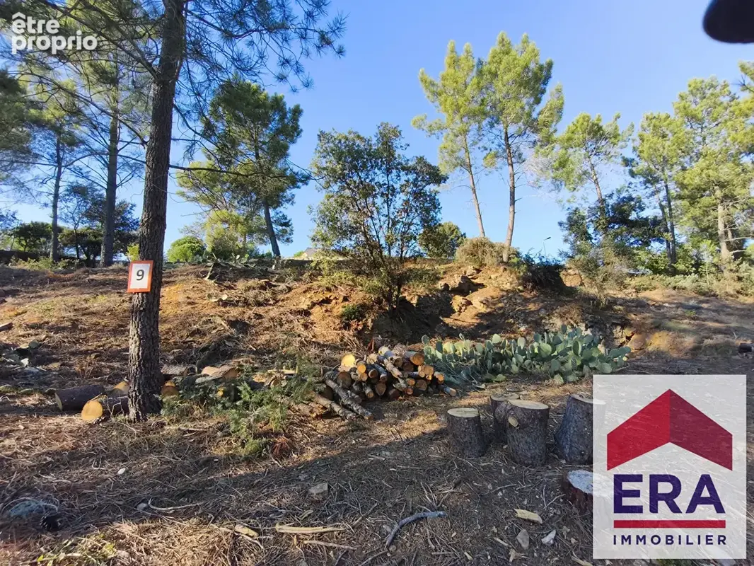 Terrain 599m² à mondragon - photo 2