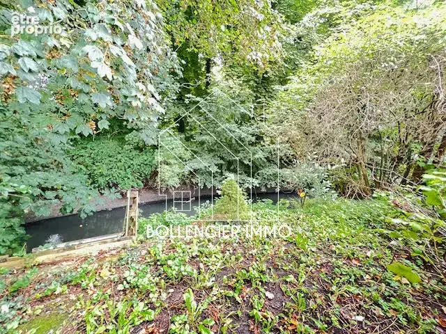 Maison la motte au bois - photo 14