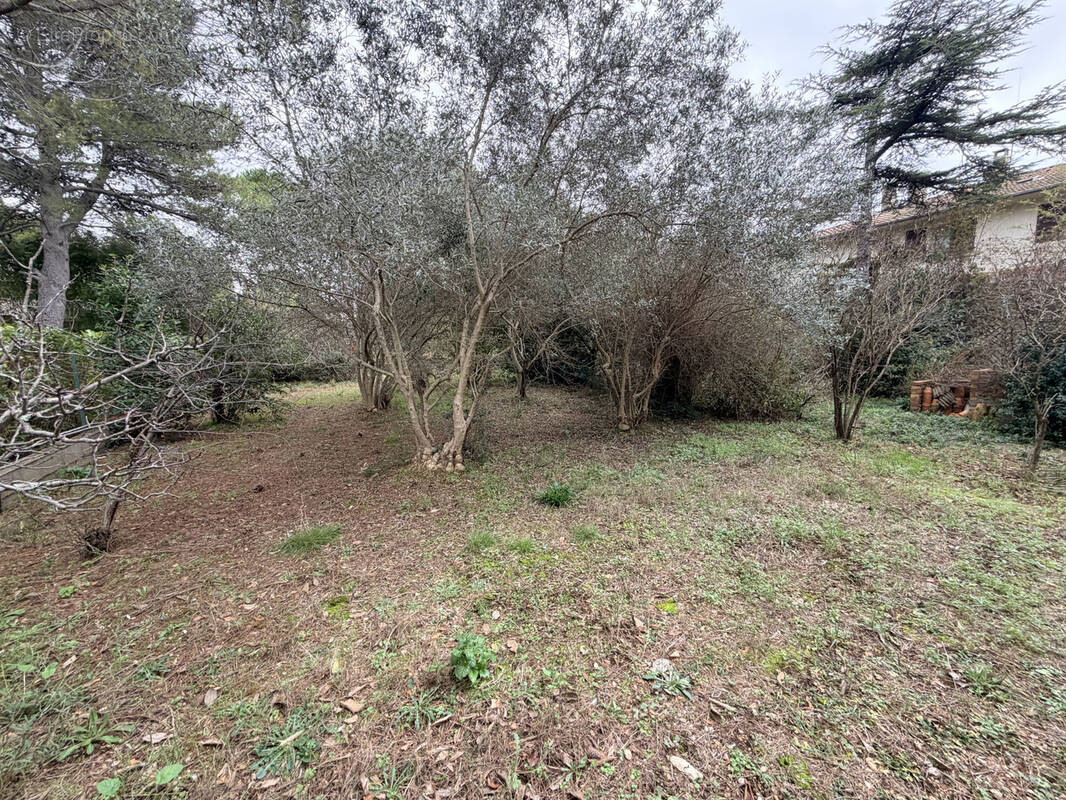 Terrain à MONTPELLIER