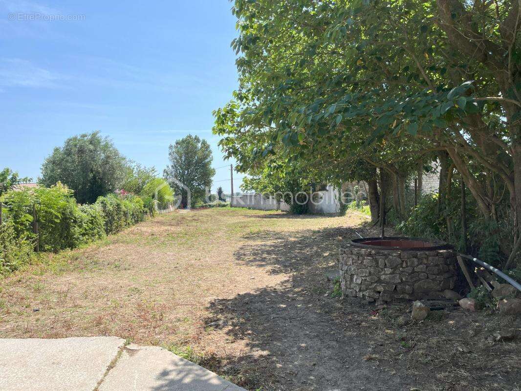 Terrain tresques 1000 m² - photo 2