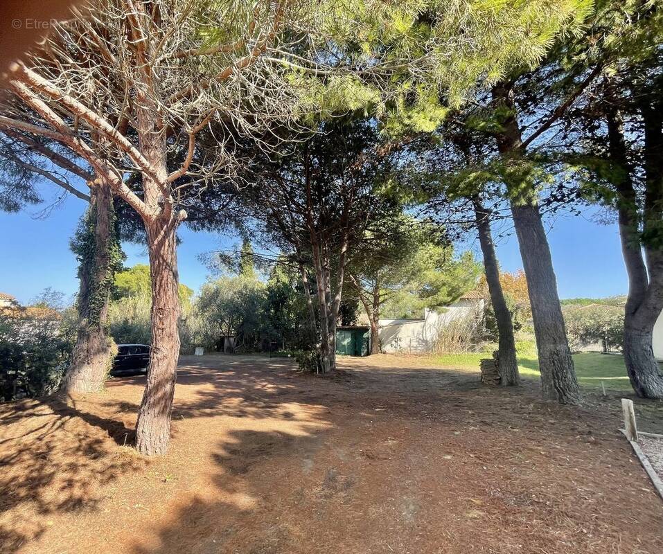 Terrain à AGDE