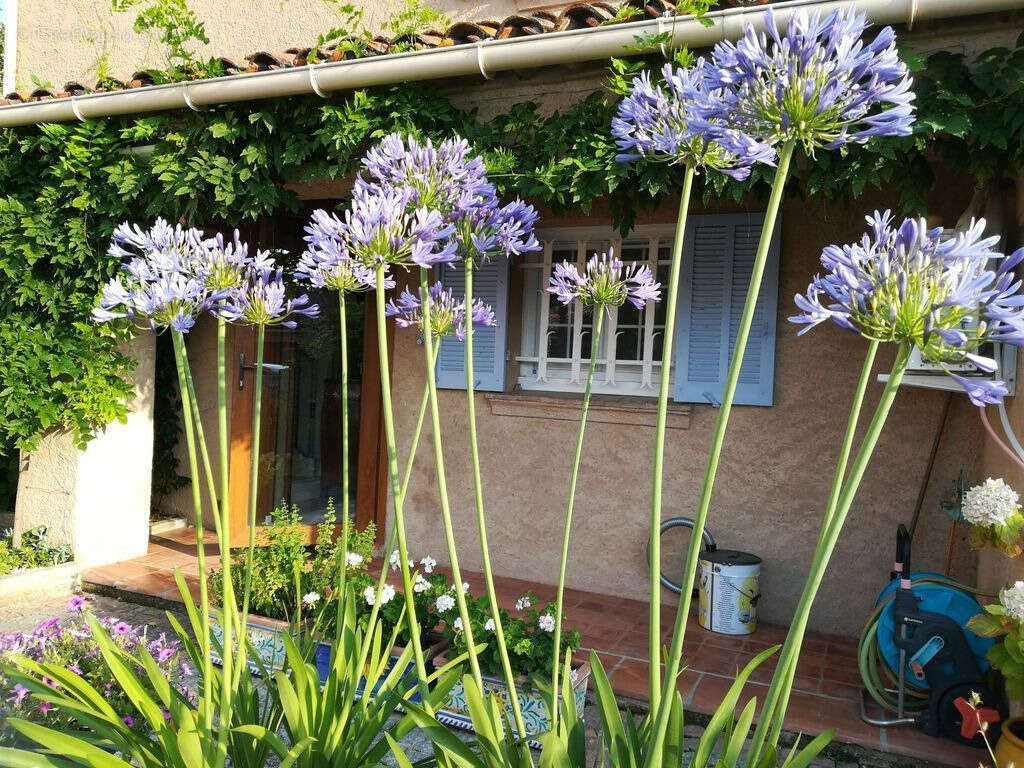 Maison à SAINTE-MAXIME