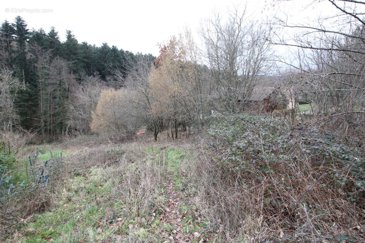 Terrain à BIRKENWALD