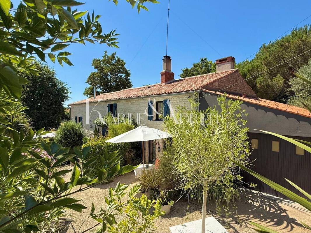 Photo 1 - Maison à AUZAY