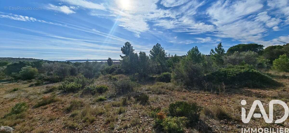 Photo 4 - Terrain à LA PALME