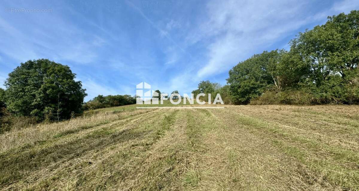 Terrain à LE MONASTERE