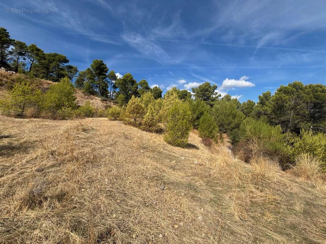 Figanières – terrain agricole et forestier de plus de 9 hectares - photo 9